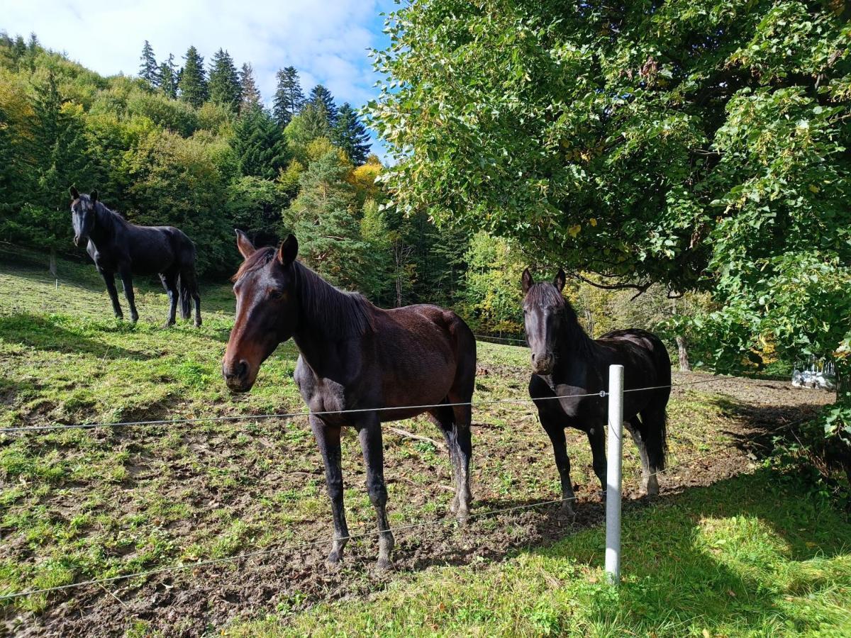 Jizdarna Malenovice Leilighet Malenovice  Eksteriør bilde
